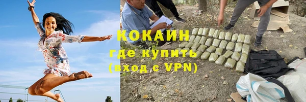твердый Алексин