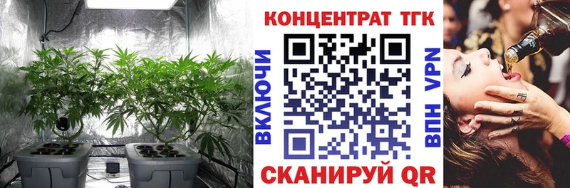 где можно купить   Дмитриев  ТГК гашишное масло 