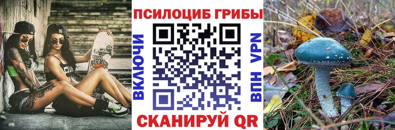 сколько стоит  Дмитриев  Галлюциногенные грибы GOLDEN TEACHER 